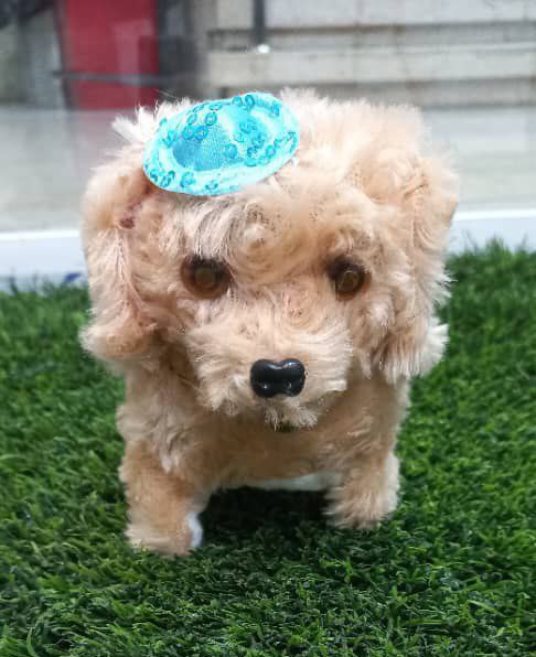 عروسک سگ باتری خور متحرک